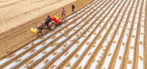 China’s retaliatory tariffs are a direct hit to U.S. farmers