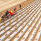 China’s retaliatory tariffs are a direct hit to U.S. farmers