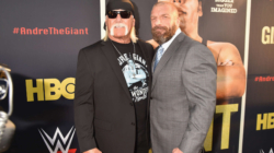 WWE Drastically Cuts Price of Hulk Hogan WrestleMania VIP Experience