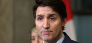 Justin Trudeau Response to Trump Tariff ‘Psychodrama’ Goes Viral