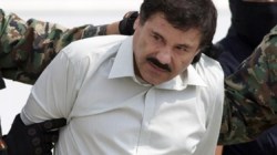 Reputed Mexican drug lords seek lawyers in U.S.