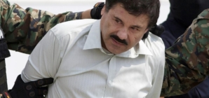 Reputed Mexican drug lords seek lawyers in U.S.