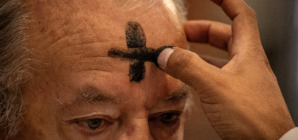 Is There Mail Delivery Today? USPS, FedEx, UPS Hours for Ash Wednesday