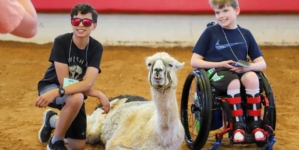 Guinness World Records declares new oldest llama, who works with chronically ill children in North Carolina