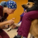 Veterinary students are in high demand despite huge school debt and alarming suicide rates