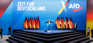 Germany hits back at Rubio’s defense of far-right AfD party