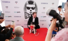 No scenery was chewed — Icelandic sheepdog awarded with ‘Palm Dog’ in Cannes