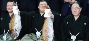 Sumo has a new champion — and for the first time in years, he’s Japanese