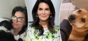 Angie Harmon was ‘saved’ by dog Lucy one year after her dog Oliver was killed