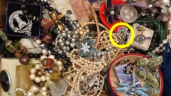 Valuable diamond brooch discovered in plain sight among ordinary jewelry pieces