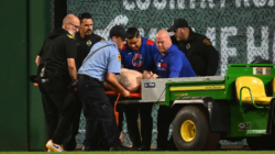 MLB News: Fan Carted Off Field After Scary Fall From Stands