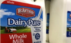 Biggest U.S. milk producer goes bankrupt