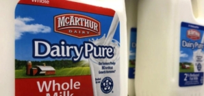 Biggest U.S. milk producer goes bankrupt