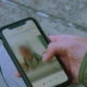 Safety concerns for many free dating apps