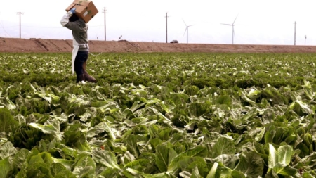 Trump administration reverses USDA office closures in California