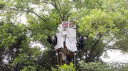 Elderly man builds tree house to protest eviction from state-owned home