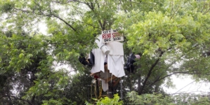 Elderly man builds tree house to protest eviction from state-owned home