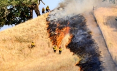 California leaders say sweeping DOGE cuts will make wildfires worse