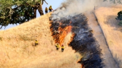 California leaders say sweeping DOGE cuts will make wildfires worse