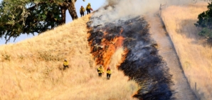 California leaders say sweeping DOGE cuts will make wildfires worse