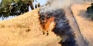 California leaders say sweeping DOGE cuts will make wildfires worse