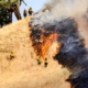 California leaders say sweeping DOGE cuts will make wildfires worse