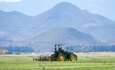 Eerie silence hangs over Central Coast farm fields in wake of ICE raids