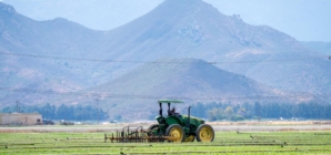 Eerie silence hangs over Central Coast farm fields in wake of ICE raids