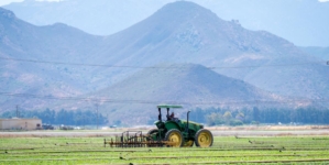 Eerie silence hangs over Central Coast farm fields in wake of ICE raids
