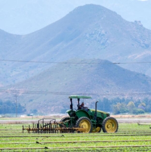 Eerie silence hangs over Central Coast farm fields in wake of ICE raids