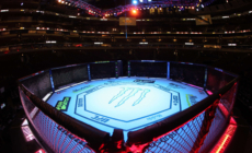 How to Watch UFC 316 Prelims: Live Stream Merab Dvalishvili vs Sean O’Malley 2 Undercard