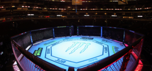 How to Watch UFC 316 Prelims: Live Stream Merab Dvalishvili vs Sean O’Malley 2 Undercard