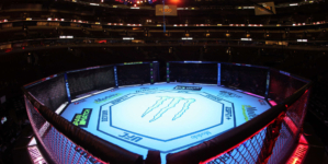 How to Watch UFC 316 Prelims: Live Stream Merab Dvalishvili vs Sean O’Malley 2 Undercard