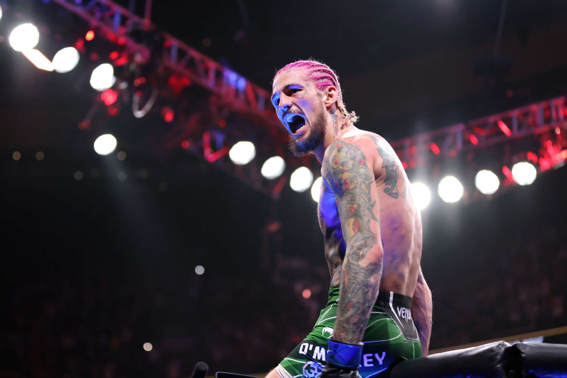 How to Watch Dvalishvili vs O’Malley 2: Live Stream UFC 316, TV Channel