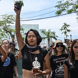 Thailand moves to recriminalize cannabis, shaking $1 billion industry