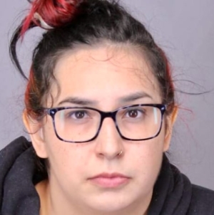 Unlicensed day care provider sentenced for biting, abusing boy who suffered brain injury and had to be intubated