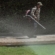 L.A. gardeners reflect on ICE: ‘People are afraid’