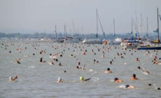 Record Number of Participants to Compete in This Year’s Balaton Swim