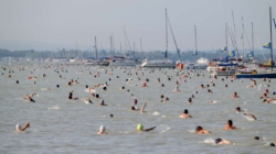 Record Number of Participants to Compete in This Year’s Balaton Swim