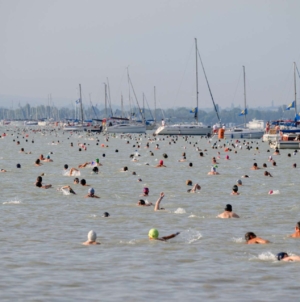 Record Number of Participants to Compete in This Year’s Balaton Swim
