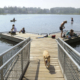 Alaska Issued With First Ever Heat Advisory