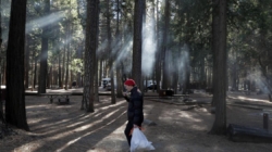 All of Yosemite’s campgrounds will be open this summer