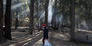 All of Yosemite’s campgrounds will be open this summer