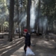 All of Yosemite’s campgrounds will be open this summer