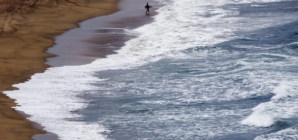 Sharks love this stretch of California’s coast. A surfer almost found that out the hard way