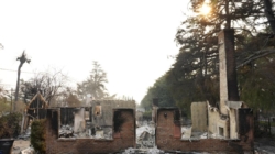 Contributor: California’s proposed ban on plants near homes could be dangerously bad advice