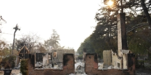 Contributor: California’s proposed ban on plants near homes could be dangerously bad advice