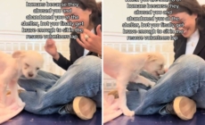 Tears As Abandoned Shelter Dog Finally ‘Brave Enough’ To Cuddle With Worker