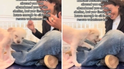 Tears As Abandoned Shelter Dog Finally ‘Brave Enough’ To Cuddle With Worker