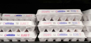 Egg Recall Map Shows Warnings Issued to Customers in 9 States
